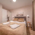 Levillas Sointuilevi 1 B67, 2 Pass Included